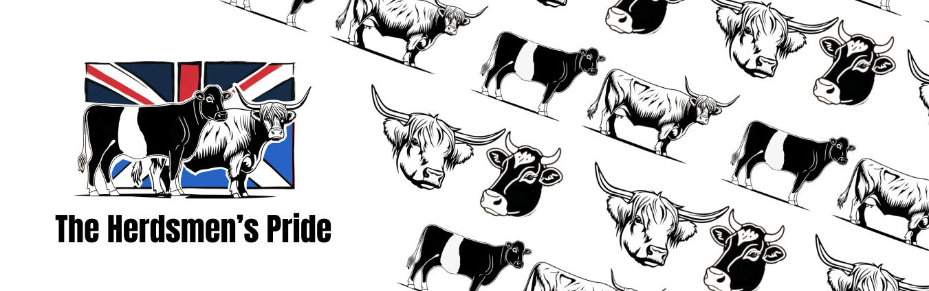 Logo design and illustration for a beef business baed in Cambridge CPG FMCG